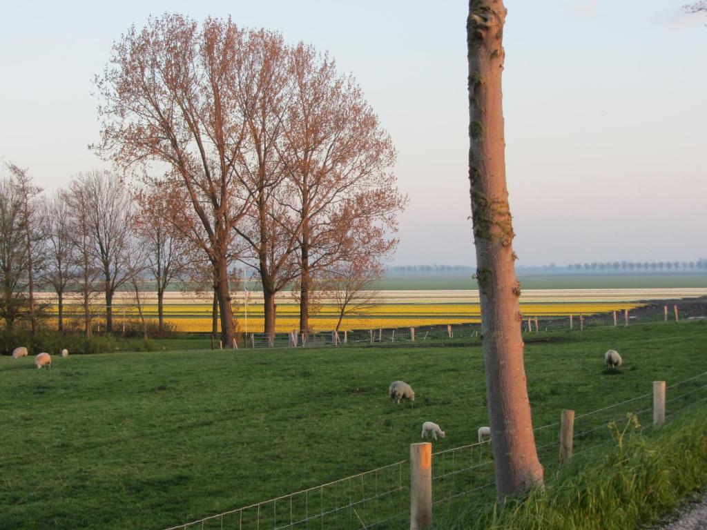 Bed En Breakfast In Het Fruit Zuidoostbeemster Exteriör bild